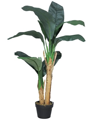  Banana tree zijdenplant in pot 120cm